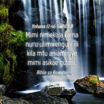 Picture 04 - Yohana 12:46 SWHULB - Mimi nimekuja kama nuru ulimwenguni ili kila mtu - Bible Verse Picture