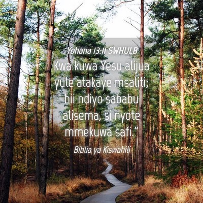 Picture 04 - Yohana 13:11 SWHULB - Kwa kuwa Yesu alijua yule atakaye msaliti; hii - Bible Verse Picture
