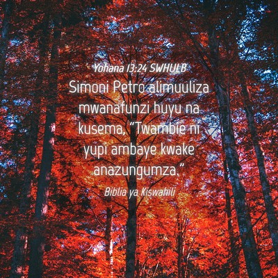Picture 04 - Yohana 13:24 SWHULB - Simoni Petro alimuuliza mwanafunzi huyu na - Bible Verse Picture