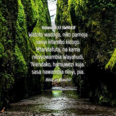 Picture 04 - Yohana 13:33 SWHULB - Watoto wadogo, niko pamoja nanyi kitambo kidogo. - Bible Verse Picture