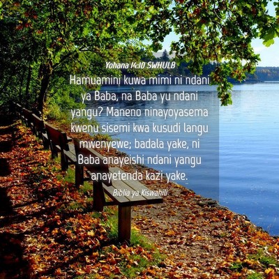 Picture 04 - Yohana 14:10 SWHULB - Hamuamini kuwa mimi ni ndani ya Baba, na Baba yu - Bible Verse Picture