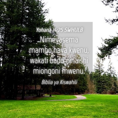 Picture 04 - Yohana 14:25 SWHULB - Nimeyasema mambo haya kwenu, wakati bado ninaishi - Bible Verse Picture
