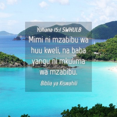 Picture 04 - Yohana 15:1 SWHULB - Mimi ni mzabibu wa huu kweli, na baba yangu ni - Bible Verse Picture