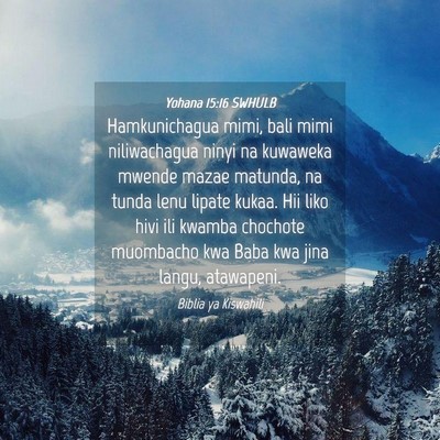 Picture 04 - Yohana 15:16 SWHULB - Hamkunichagua mimi, bali mimi niliwachagua ninyi - Bible Verse Picture