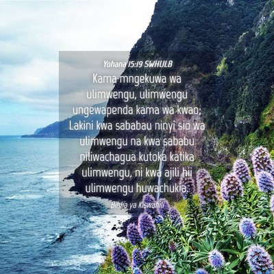 Picture 04 - Yohana 15:19 SWHULB - Kama mngekuwa wa ulimwengu, ulimwengu ungewapenda - Bible Verse Picture