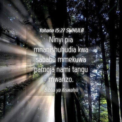 Picture 04 - Yohana 15:27 SWHULB - Ninyi pia mnanishuhudia kwa sababu mmekuwa pamoja - Bible Verse Picture
