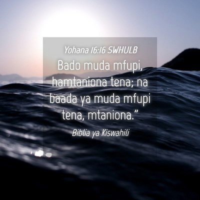 Picture 04 - Yohana 16:16 SWHULB - Bado muda mfupi, hamtaniona tena; na baada ya - Bible Verse Picture