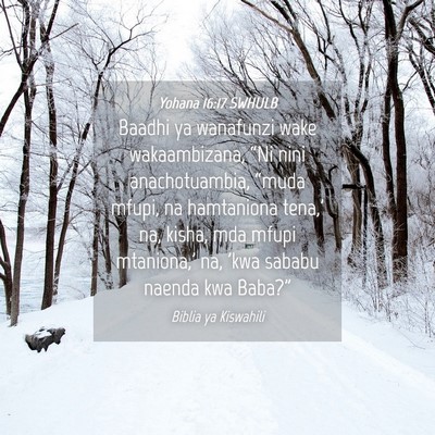Picture 04 - Yohana 16:17 SWHULB - Baadhi ya wanafunzi wake wakaambizana, “Ni nini - Bible Verse Picture