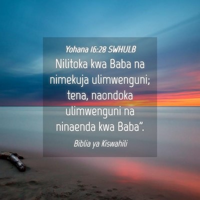 Picture 04 - Yohana 16:28 SWHULB - Nilitoka kwa Baba na nimekuja ulimwenguni; tena, - Bible Verse Picture
