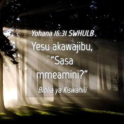 Picture 04 - Yohana 16:31 SWHULB - Yesu akawajibu, “Sasa - Bible Verse Picture