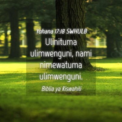Picture 04 - Yohana 17:18 SWHULB - Ulinituma ulimwenguni, nami nimewatuma - Bible Verse Picture