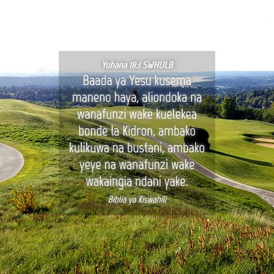 Picture 04 - Yohana 18:1 SWHULB - Baada ya Yesu kusema maneno haya, aliondoka na - Bible Verse Picture