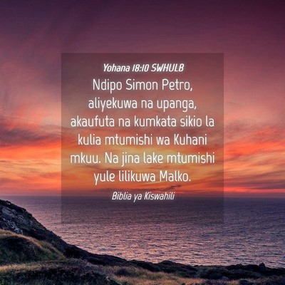 Picture 04 - Yohana 18:10 SWHULB - Ndipo Simon Petro, aliyekuwa na upanga, akaufuta - Bible Verse Picture