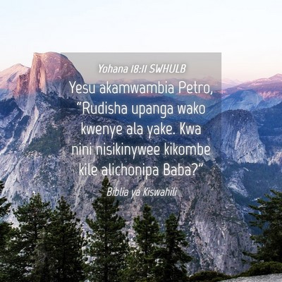 Picture 04 - Yohana 18:11 SWHULB - Yesu akamwambia Petro, “Rudisha upanga wako - Bible Verse Picture