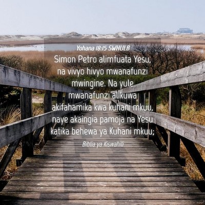 Picture 04 - Yohana 18:15 SWHULB - Simon Petro alimfuata Yesu, na vivyo hivyo - Bible Verse Picture