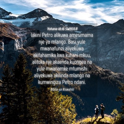 Picture 04 - Yohana 18:16 SWHULB - lakini Petro alikuwa amesimama nje ya mlango. - Bible Verse Picture