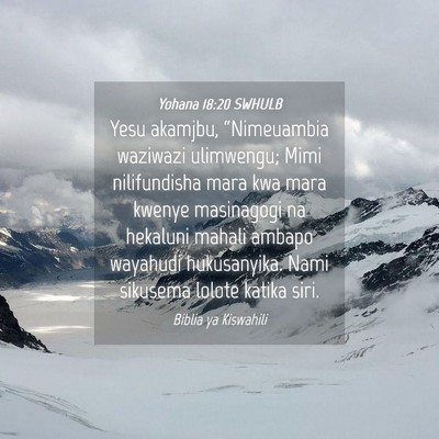 Picture 04 - Yohana 18:20 SWHULB - Yesu akamjbu, “Nimeuambia waziwazi ulimwengu; - Bible Verse Picture