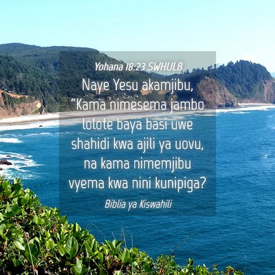 Picture 04 - Yohana 18:23 SWHULB - Naye Yesu akamjibu, “Kama nimesema jambo lolote - Bible Verse Picture