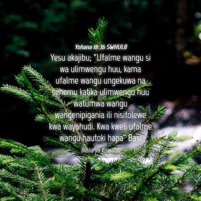 Picture 04 - Yohana 18:36 SWHULB - Yesu akajibu; “Ufalme wangu si wa ulimwengu - Bible Verse Picture