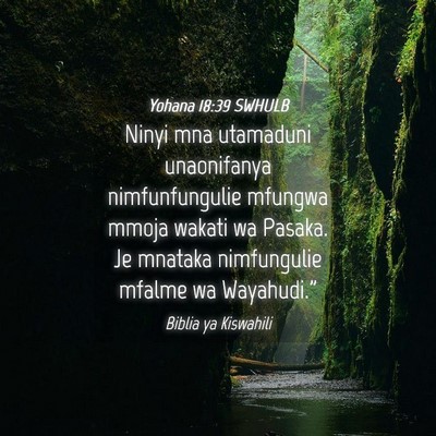Picture 04 - Yohana 18:39 SWHULB - Ninyi mna utamaduni unaonifanya nimfunfungulie - Bible Verse Picture