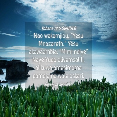 Picture 04 - Yohana 18:5 SWHULB - Nao wakamjibu, “Yesu Mnazareth.” Yesu - Bible Verse Picture