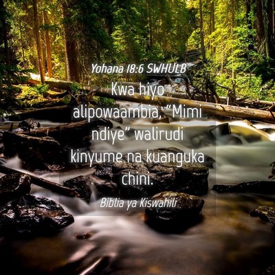 Picture 04 - Yohana 18:6 SWHULB - Kwa hiyo alipowaambia, “Mimi ndiye” walirudi - Bible Verse Picture