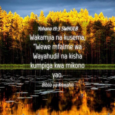 Picture 04 - Yohana 19:3 SWHULB - Wakamjia na kusema, “Wewe mfalme wa Wayahudi! - Bible Verse Picture