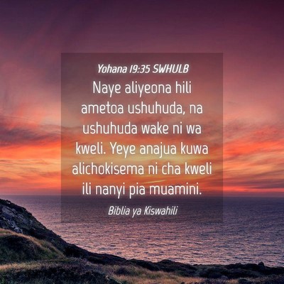 Picture 04 - Yohana 19:35 SWHULB - Naye aliyeona hili ametoa ushuhuda, na ushuhuda - Bible Verse Picture