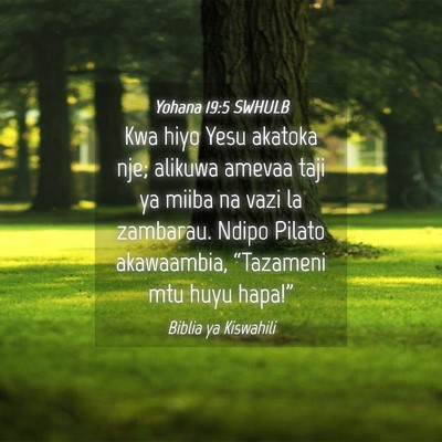 Picture 04 - Yohana 19:5 SWHULB - Kwa hiyo Yesu akatoka nje; alikuwa amevaa taji ya - Bible Verse Picture
