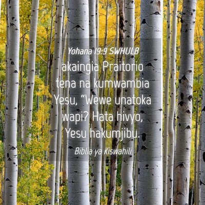 Picture 04 - Yohana 19:9 SWHULB - akaingia Praitorio tena na kumwambia Yesu, - Bible Verse Picture