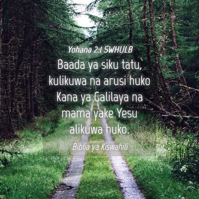 Picture 04 - Yohana 2:1 SWHULB - Baada ya siku tatu, kulikuwa na arusi huko Kana - Bible Verse Picture