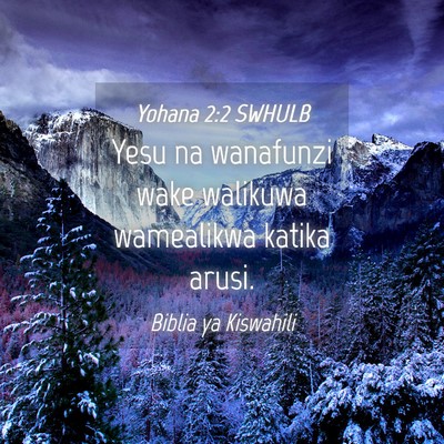 Picture 04 - Yohana 2:2 SWHULB - Yesu na wanafunzi wake walikuwa wamealikwa katika - Bible Verse Picture