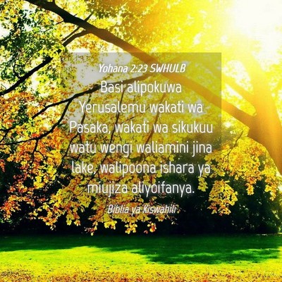 Picture 04 - Yohana 2:23 SWHULB - Basi alipokuwa Yerusalemu wakati wa Pasaka, - Bible Verse Picture