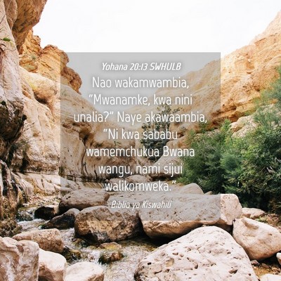 Picture 04 - Yohana 20:13 SWHULB - Nao wakamwambia, “Mwanamke, kwa nini unalia?” - Bible Verse Picture