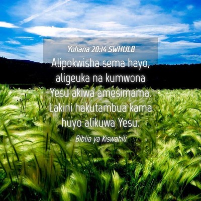 Picture 04 - Yohana 20:14 SWHULB - Alipokwisha sema hayo, aligeuka na kumwona Yesu - Bible Verse Picture