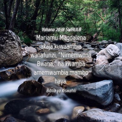 Picture 04 - Yohana 20:18 SWHULB - Mariamu Magdalena akaja kuwaambia wanafunzi, - Bible Verse Picture