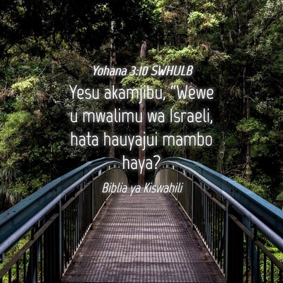 Picture 04 - Yohana 3:10 SWHULB - Yesu akamjibu, “Wewe u mwalimu wa Israeli, hata - Bible Verse Picture