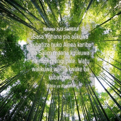 Picture 04 - Yohana 3:23 SWHULB - Sasa Yohana pia alikuwa akibatiza huko Ainea - Bible Verse Picture