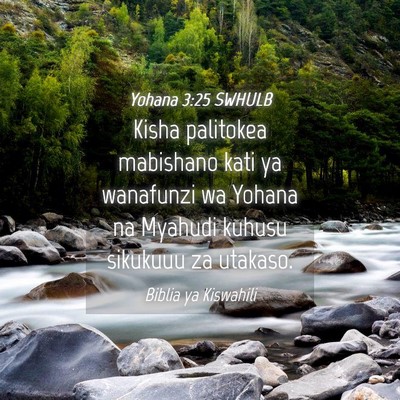 Picture 04 - Yohana 3:25 SWHULB - Kisha palitokea mabishano kati ya wanafunzi wa - Bible Verse Picture