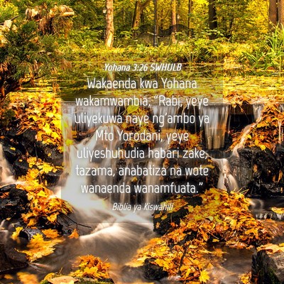 Picture 04 - Yohana 3:26 SWHULB - Wakaenda kwa Yohana wakamwambia, “Rabi, yeye - Bible Verse Picture