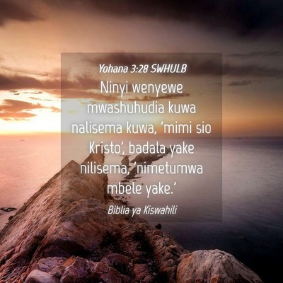 Picture 04 - Yohana 3:28 SWHULB - Ninyi wenyewe mwashuhudia kuwa nalisema kuwa, - Bible Verse Picture