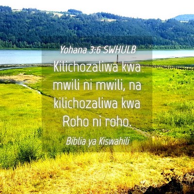 Picture 04 - Yohana 3:6 SWHULB - Kilichozaliwa kwa mwili ni mwili, na - Bible Verse Picture