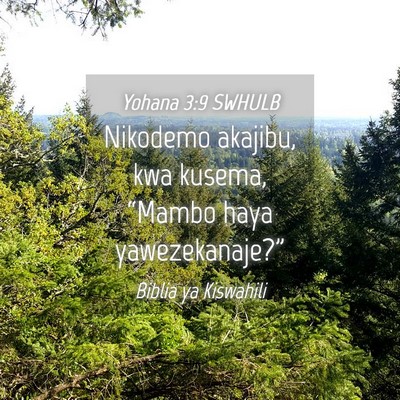 Picture 04 - Yohana 3:9 SWHULB - Nikodemo akajibu, kwa kusema, “Mambo haya - Bible Verse Picture