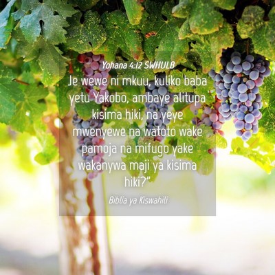 Picture 04 - Yohana 4:12 SWHULB - Je wewe ni mkuu, kuliko baba yetu Yakobo, ambaye - Bible Verse Picture