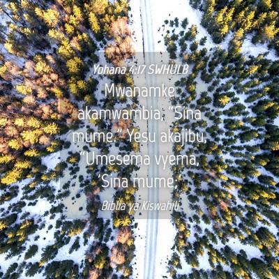 Picture 04 - Yohana 4:17 SWHULB - Mwanamke akamwambia, “Sina mume.” Yesu - Bible Verse Picture