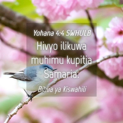 Picture 04 - Yohana 4:4 SWHULB - Hivyo ilikuwa muhimu kupitia - Bible Verse Picture