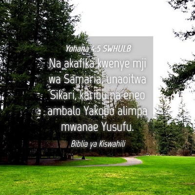 Picture 04 - Yohana 4:5 SWHULB - Na akafika kwenye mji wa Samaria, unaoitwa - Bible Verse Picture