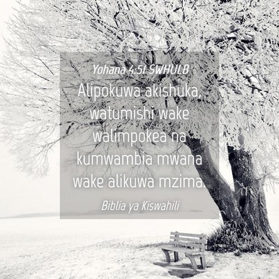 Picture 04 - Yohana 4:51 SWHULB - Alipokuwa akishuka, watumishi wake walimpokea na - Bible Verse Picture