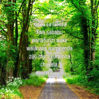Picture 04 - Yohana 4:8 SWHULB - Kwa sababu wanafunzi wake walikuwa wameenda zao - Bible Verse Picture