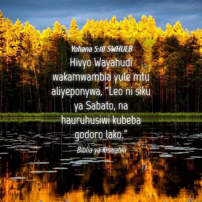 Picture 04 - Yohana 5:10 SWHULB - Hivyo Wayahudi wakamwambia yule mtu aliyeponywa, - Bible Verse Picture